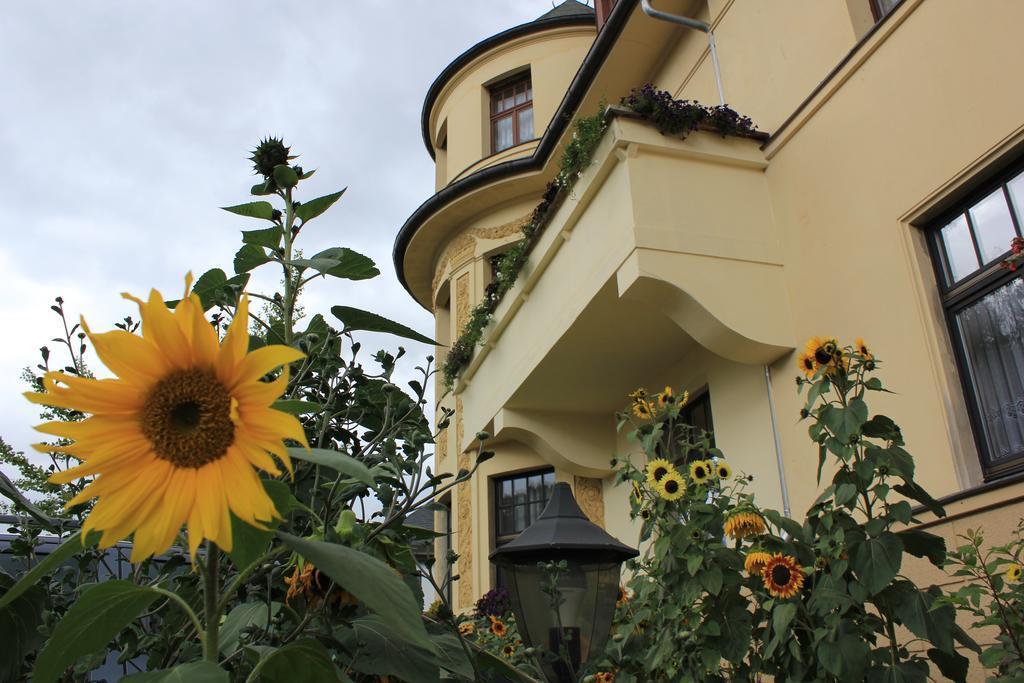 Pension Vogtlaender Plauen Zewnętrze zdjęcie